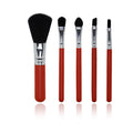 Mini Colorful Beginner Makeup Brush Set for Travel