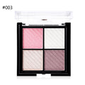 Pigments Palette Eye Makeup Eye Shadow