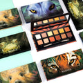 Eyeshadow Makeup Nude Beauty Set Orange