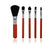 Mini Colorful Beginner Makeup Brush Set for Travel