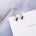 Korean Earrings New Fashion Simple Leopard